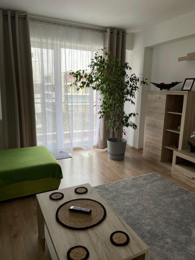 Relaxing Bucharest Airport Residences & Therme-Self Check-In 奥托佩尼 外观 照片